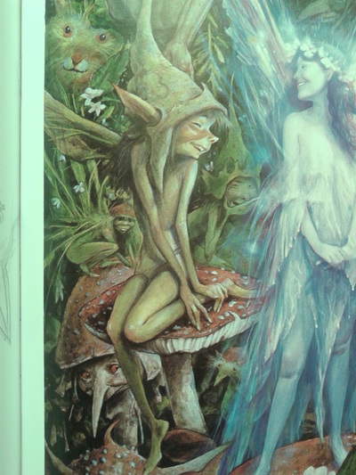 good faeries bad faeries book